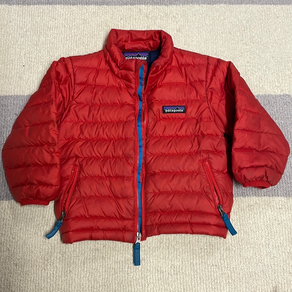 Patagonia toddler 2T Down Coat